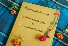 IMG_20260816_163409.jpg