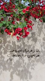 IMG_20260820_115326_211.jpg