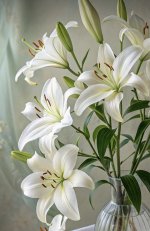 IMG_4161.jpeg