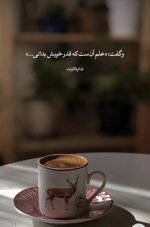 IMG_4212.jpeg