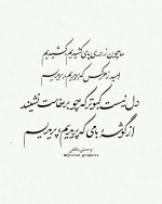 IMG_20260923_130000_278.jpg