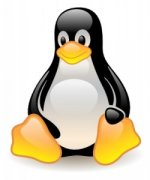 linux-online-inc-250x300.jpg