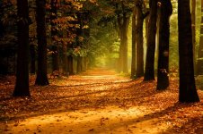 011-autumn.jpg
