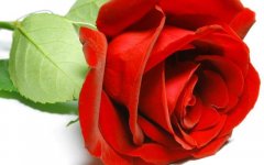 azarpix_com_2_good647979797%20%285%29.jpg