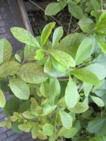 IMG_1643_resize.jpg