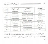 زینتی 11.jpg