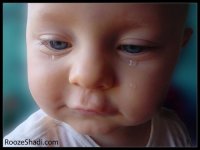 Bache-ha-3-500x375[1].jpg