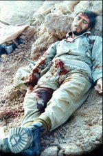 shahid_dehkhoda.jpg
