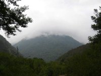 جنگل  توسكاستان (7).jpg