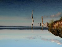 742-02-pixdooni_com.jpg