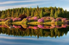 742-08-pixdooni_com.jpg
