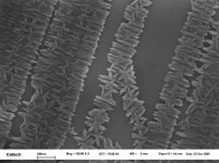 20012_2[1].jpg