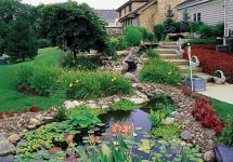 LandscapingCentral3.jpg