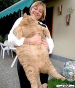 hot_weird_funny_amazing_cool3_animals-acting-funny-12_200907260116098890.jpg