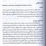 نماتد  8.jpg