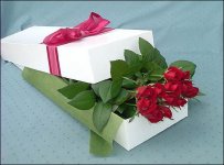 cbd08cfb93d44be8b57945e639d1361f.jpg cbd08cfb93d44be8b57945e639d1361f.jpg