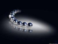 Warez98.com (9).jpg