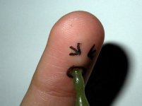 fingers-in-action-funny-finger-painting-15.jpg