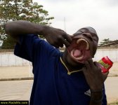fun-pictures-radsms51.jpg
