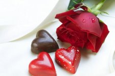 red-rosebeauty-flowers-heart-nice-romanceroses-valentines-day-485x728.jpg