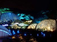 Eden_Project_Winter_2008_showing_Bruce_Munro_field_of_Light.jpg