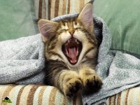 [AKa3.ir]-Funny-And-Creative-Wallpaper (7).jpg