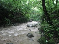 visa dar (talesh) (2).jpg