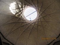 IMG_4520.jpg