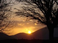 DSC03041.jpg DSC03041.jpg