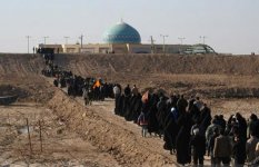 shalamche-7.jpg shalamche-7.jpg