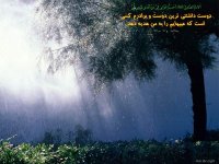 641Hadis H014.jpg