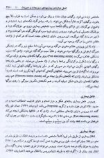 عدس  2.jpg