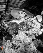 AudreyHepburn_14.jpg