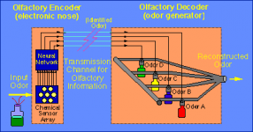 pic4.electronic nose.png