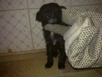 20101227020.jpg
