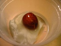 IMG_0973_ed.jpg