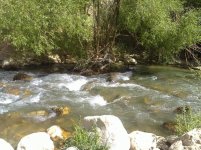 16032012611.jpg