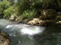 16032012583.jpg
