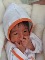 IMG_6320.jpg