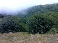 07-08-08_1646.jpg
