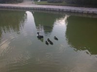 06082010066.jpg