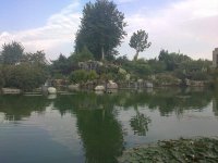 06082010062.jpg