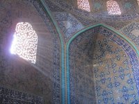 IMG_2940.jpg