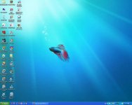 My Desktop.jpg