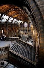 Natural History Museum, London..jpg