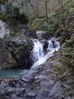 DSC00857.jpg