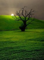 Campo Andaluz - Andalusian Countryside.jpg