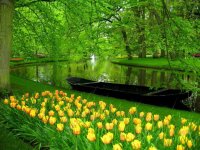 Keukenhof Gardens, Lisse, The Netherlands.jpg