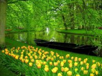 Keukenhof Gardens, Lisse, The Netherlands.jpg