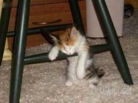 20091105032.jpg